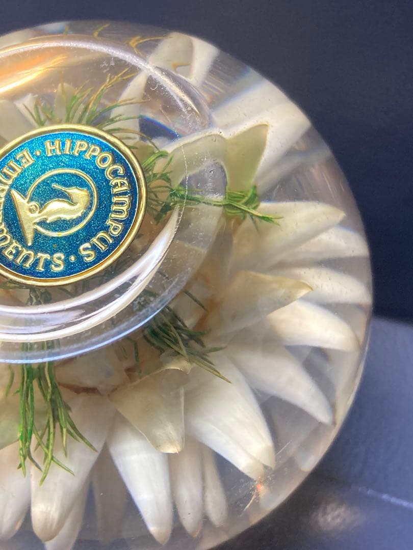 ハフォドグレンジ社　ガラス細工　ペーパーウエイト