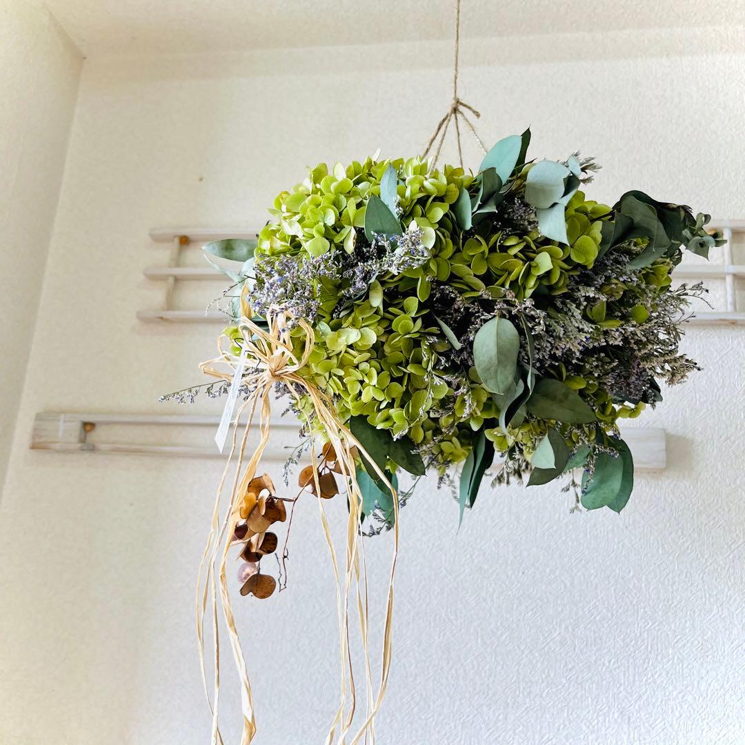 アナベル紫陽花　フライングリース　アナベル　リースドライフラワー