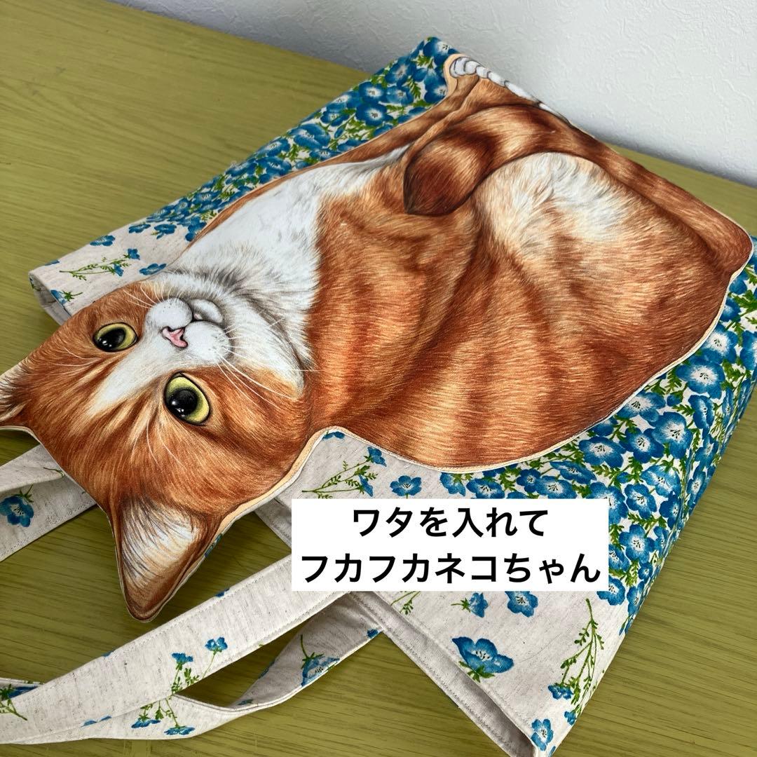 ち*ん様 コヤンイサムチョン　ネモフィラ　超ビッグふっくらネコちゃん　横41縦3