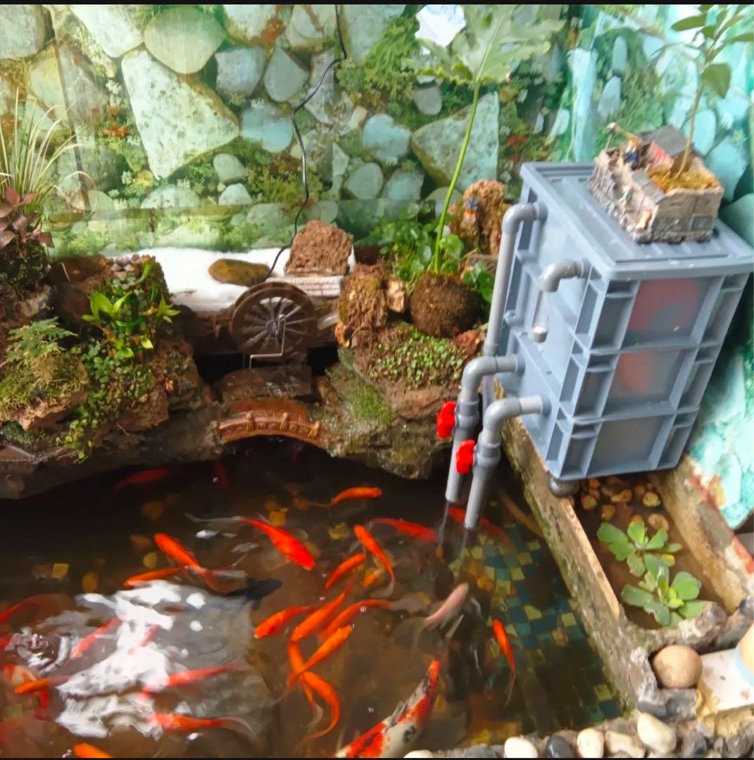 水中ポンプお任せ濾過材付きフルセット 大型水槽池用濾過器フィルター到着すぐ使える