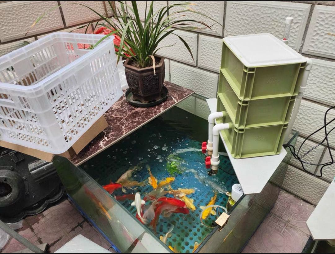 水中ポンプお任せ濾過材付きフルセット 大型水槽池用濾過器フィルター到着すぐ使える