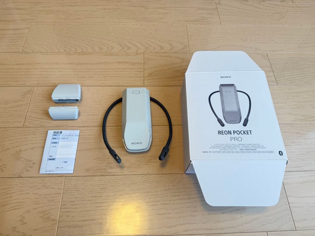 【♦️値下げ】SONY REON POCKET PRO RNPK-P1