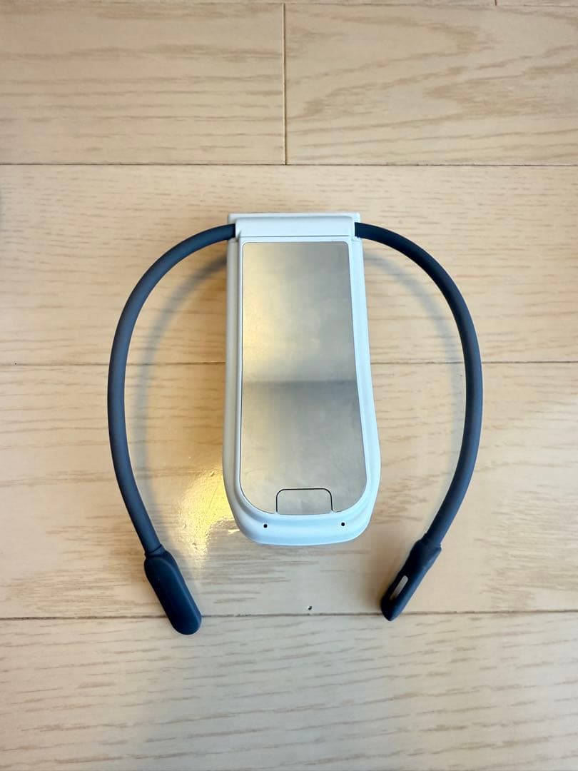 【♦️値下げ】SONY REON POCKET PRO RNPK-P1