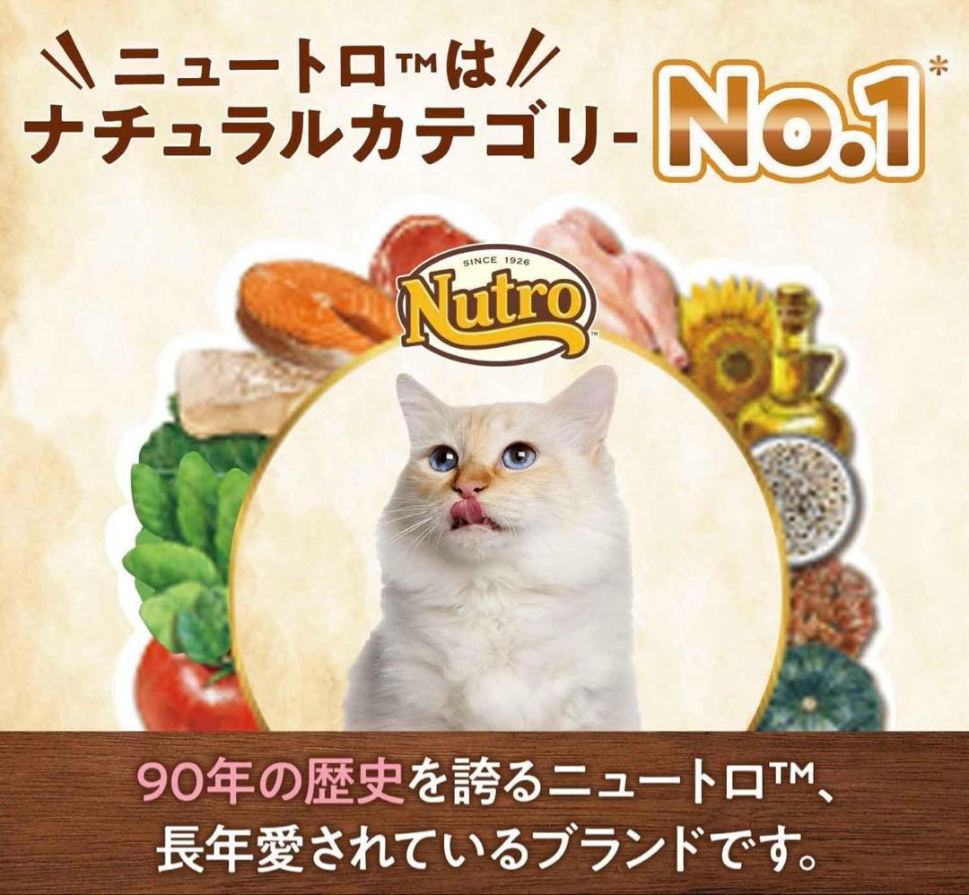 Nutro 成猫用サーモン 3Kg×2個