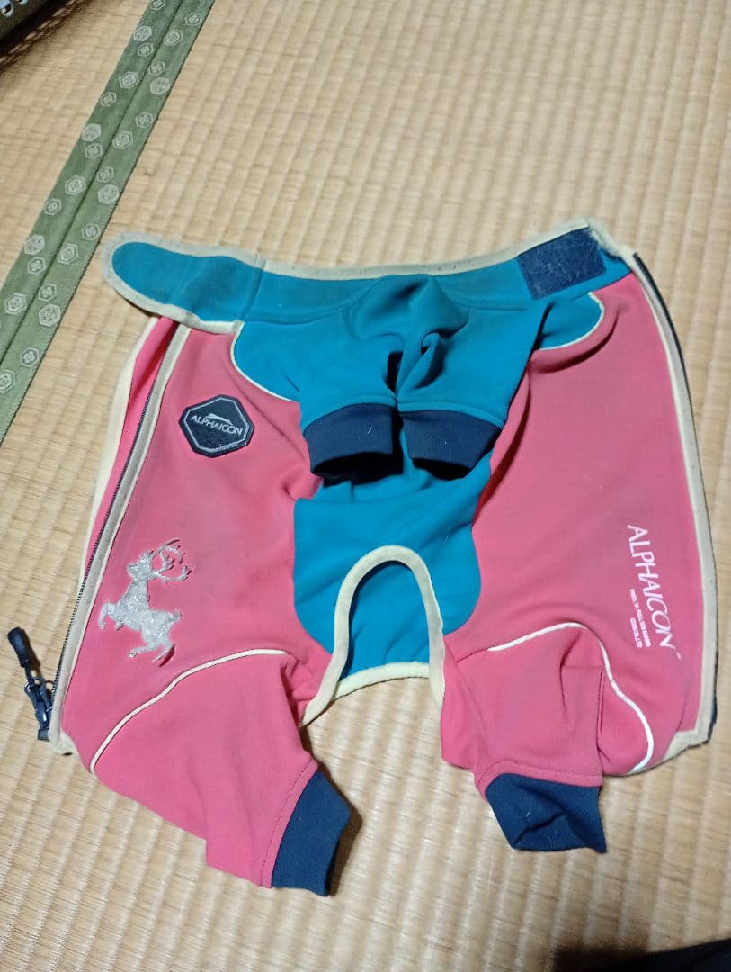 ALPHAICON アルファアイコン　ダブルフルドッグガード　DXM