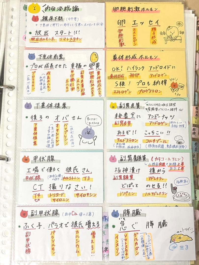 看護師国家試験 まとめノート 対策 カード 付箋ノート 国試 一般問題 看護