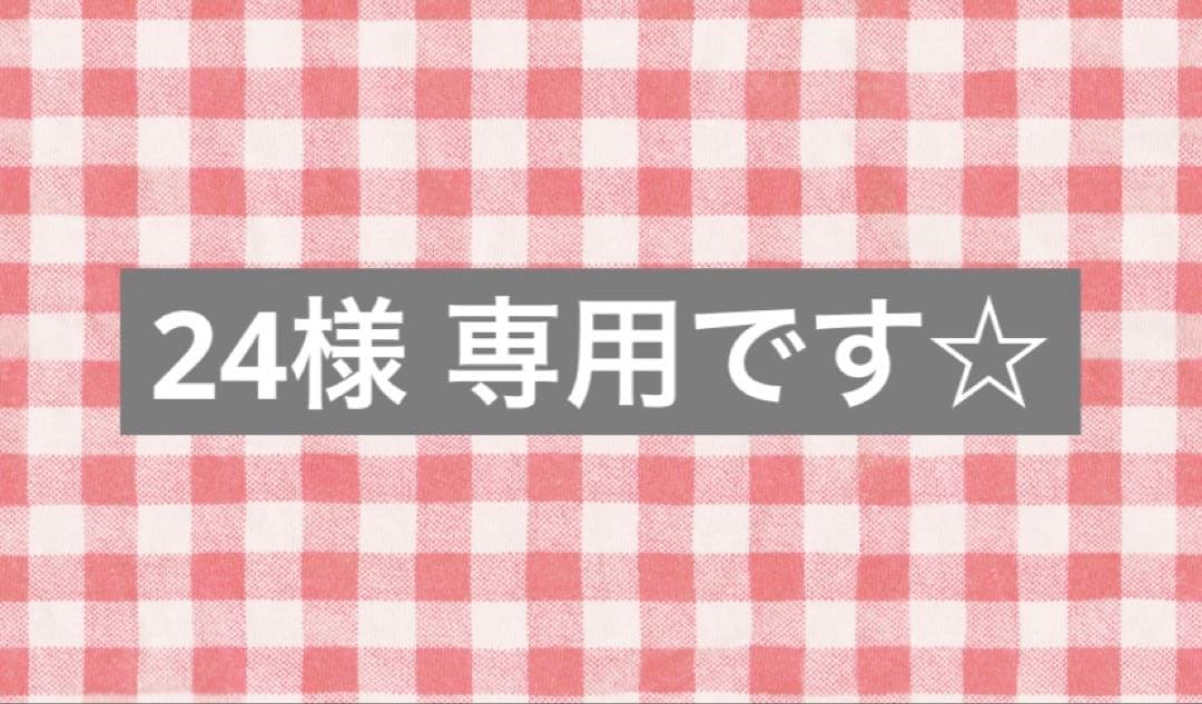 24☆Pigmentation Detox II シミケア機器